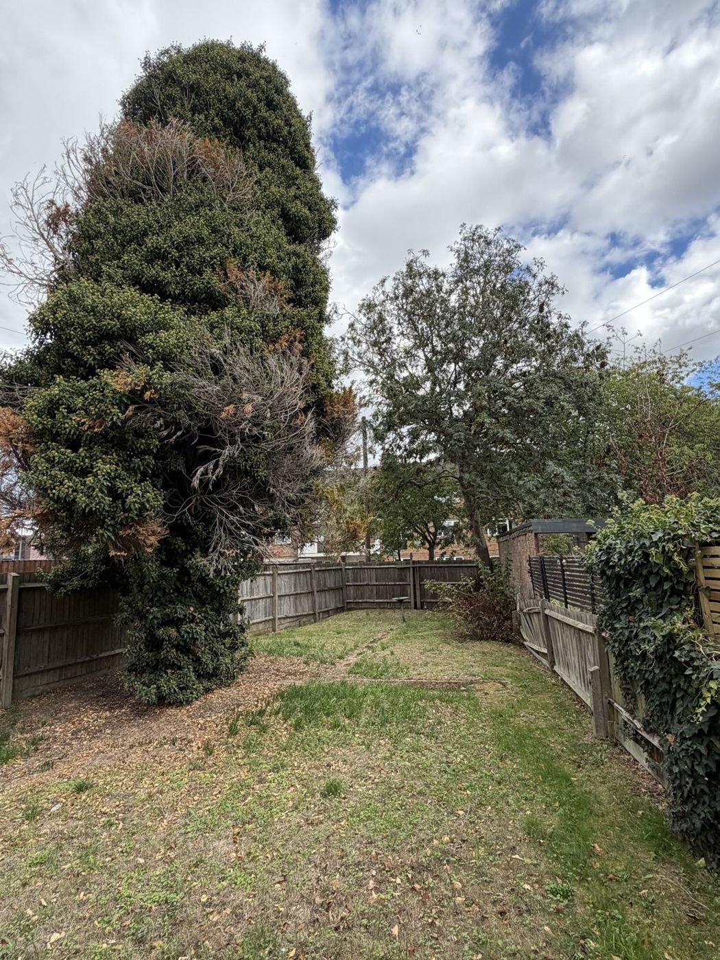 Rear garden with lawn and fencing